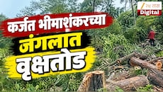 VIDEO : कर्जत भीमाशंकरच्या जंगलात वृक्षतोड, हजारो झाडं तोडल्याचा ग्रामस्थांचा आरोप