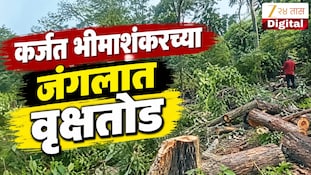 VIDEO : कर्जत भीमाशंकरच्या जंगलात वृक्षतोड, हजारो झाडं तोडल्याचा ग्रामस्थांचा आरोप
