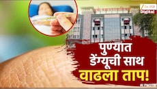 आधीच औषध, धूर फवारणी का केली नाही?