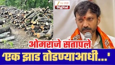 भीमाशंकरमधील वृक्षतोडीवर ओमराजे निंबाळकर संतप्त; सरकारला सुनावले;‘एक झाड तोडण्याआधी...'