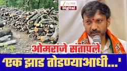 भीमाशंकरमधील वृक्षतोडीवर ओमराजे निंबाळकर संतप्त; सरकारला सुनावले;‘एक झाड तोडण्याआधी...'