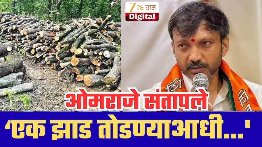 भीमाशंकरमधील वृक्षतोडीवर ओमराजे निंबाळकर संतप्त; सरकारला सुनावले;‘एक झाड तोडण्याआधी...'