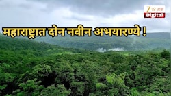 महाराष्ट्रात दोन नवीन अभयारण्ये! तर पुणे, ठाणे, पालघरसह 'या' जिल्ह्यांसाठीही महत्त्वाची घोषणा