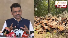 100 वर्षांसाठी पर्यावरणाची हानी टाळत आहोत; CM फडणवीसांनी टोरंट प्रोजेक्टबद्दल स्पष्टच सांगितलं, '...तर 28 कोटी झाडे लावावी लागतील'