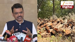 100 वर्षांसाठी पर्यावरणाची हानी टाळत आहोत; CM फडणवीसांनी टोरंट प्रोजेक्टबद्दल स्पष्टच सांगितलं, '...तर 28 कोटी झाडे लावावी लागतील'