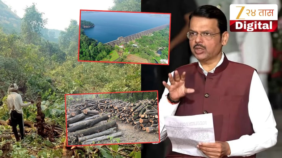 टोरंट पॉवर प्रोजेक्टसाठी कर्जतची जागाच का निवडली? CM फडणवीसांनी सांगितलं नेमकं कारण