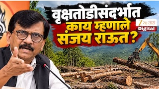 मोदी येण्यापुर्वी सर्व झाडे तोडा, कर्मचाऱ्यांना आदेश; राऊतांचे ट्वीट