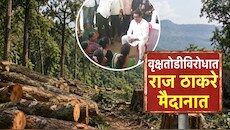 राज ठाकरेंकडून कर्जतमध्ये वृक्षतोडीची पाहणी