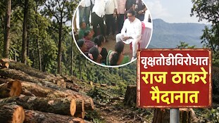 राज ठाकरेंकडून कर्जतमध्ये वृक्षतोडीची पाहणी