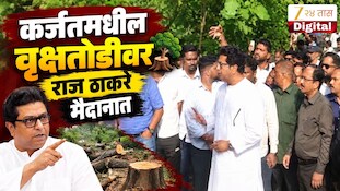 VIDEO : कर्जतमधील वृक्षतोडीवर राज ठाकरे यांची भूमिका स्पष्ट