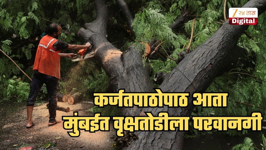 कर्जतपाठोपाठ आता मुंबईत वृक्षतोडीला परवानगी; 8 प्रोजेक्टला मान्यता! किती झाडांचा बळी जाणार? समोर आला आकडा