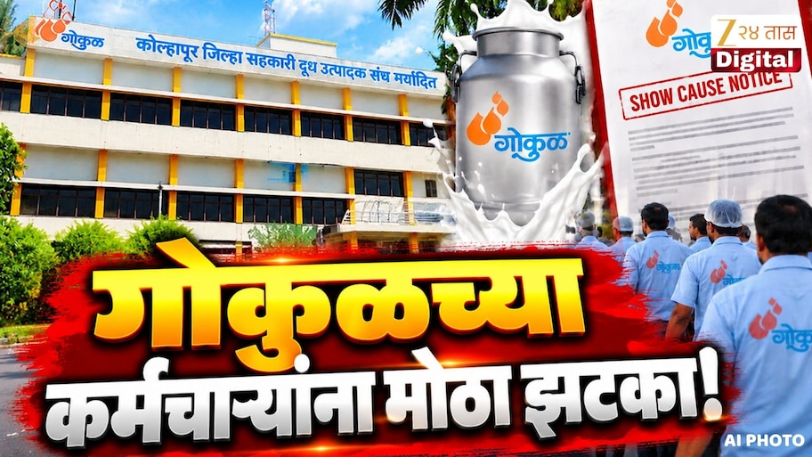 गोकुळ दूध संघाच्या अध्यक्षनिवडीच्या काही तासाआधी मोठा ट्विस्ट, 350 कर्मचाऱ्यांना कारणे दाखवा नोटीस