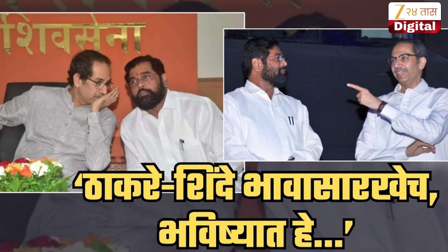 'उद्धव ठाकरे, एकनाथ शिंदे एकत्र येऊ शकतात, दोघे...', माजी खासदाराचं विधान; एकत्र येण्याचं कारणही सांगितलं