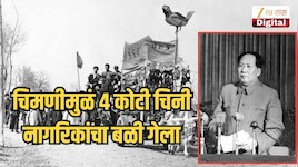 चीनने 20 कोटी चिमण्या मारल्या अन्..., 4 कोटी लोकांच्या मृत्यूला कारणीभूत ठरलेली घटना; नेमका हा प्रकार काय?