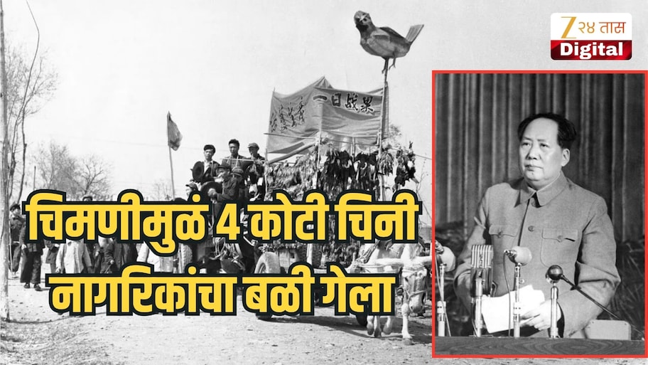 चीनने 20 कोटी चिमण्या मारल्या अन्..., 4 कोटी लोकांच्या मृत्यूला कारणीभूत ठरलेली घटना; नेमका हा प्रकार काय?