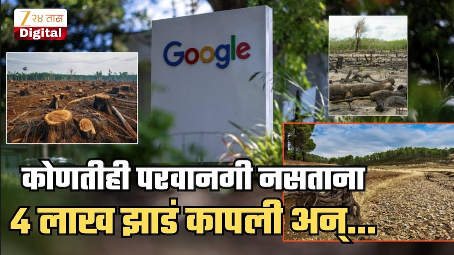 डेटा सेंटरसाठी 4 लाख झाडं एकही परवानगीशिवाय कापल्याचा Google वर आरोप; जंगलातले प्राणी शहरात घुसले, नद्यांमध्ये घाण पाणी, सुपीक माती गायब अन्...