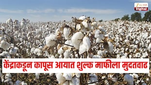 केंद्राकडून कापूस आयात शुल्क माफीला मुदतवाढ, 31 डिसेंबरपर्यंत 11% आयात शुल्क माफीला मुदत